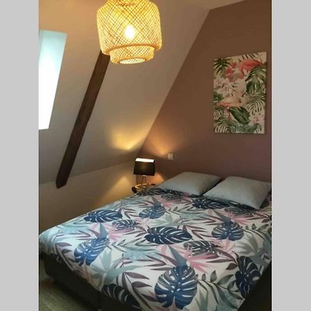Appartement Dans Maison De 1789 Au Centre De Vitre Exterior foto
